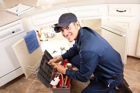 Best Garbage Disposal Repair and Installation  in Trenton, IL